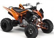 Yamaha YFM250R Yamaha YFM250R